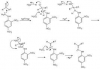 2 4-dinitrophenylhydrazone (2).png