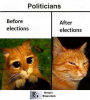 politicians.png