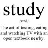 Study (Verb) - The Act Of Texting, Eating And Watching TV With An Open Textbook Nearby.jpg