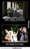 drumbledore-everywhere-lol.jpg