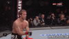if-i-ever-fight-in-ufc_o_803254.gif