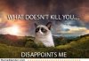 grumpy-cat-what-does-not-kill-you.jpg