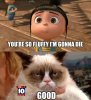 MEME-Grumpy-cat_1.jpg