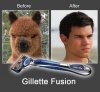 Hilarious-Before-and-After-Images-001.jpg