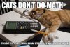 cats dont do maths.jpg