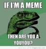 funny-meme-youyou-pictures-lol.jpg