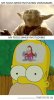 funny-Yoda-Homer-Simpson.jpg