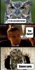 funny-owl-face-Leonardo-Dicaprio-inception-meme.jpg