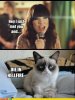 grumpy-cat-funny-meme1.jpg