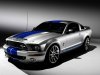 ford_mustang_shelby_gt_07.jpg