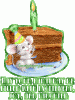 mouse_eating_cake.gif