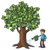 money tree.jpg