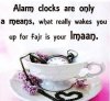 2013 - 1 alarm fajr.jpg