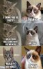 Funny-Cats-Top-49-Most-Funniest-Grumpy-Cat-Quotes-35.jpg