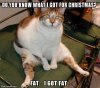 do-you-know-what-i-got-for-christmas-fat-i-got-fat.jpg