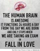 the_human_brain_540.jpg