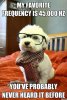 hipster-dog-favorite-frequency.jpg