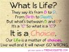 what-is-life-quotes-sayings-pictures.jpg