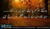 Poetry-Badalte-Mausam-Urdu-Poetry-080-7621.jpeg