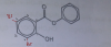 phenol.PNG