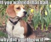 if u wnted tht ball why did u throw it.jpg