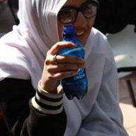 Bee1995