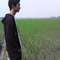 Hasin Karim