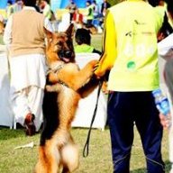 Shahzan