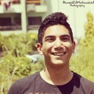 bassel walid