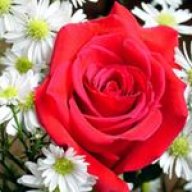 masoom