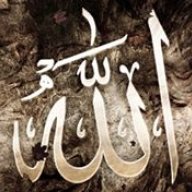 Rauf ahmed