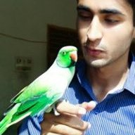 Sohail Bukhari