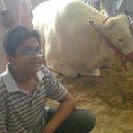 Muhammad Irtiza