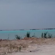 mahdi_mahmmud