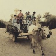 Jabsaer
