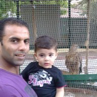 yousef salameh