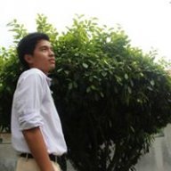 Ernest lim
