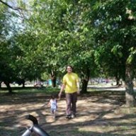 teacheraybars