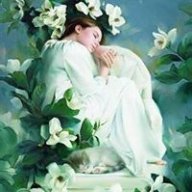 salma hashem