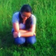 Shifu24