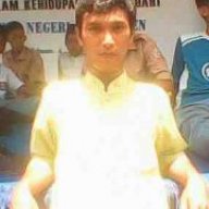 Sardat