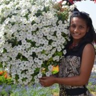 Roshni Milanthi