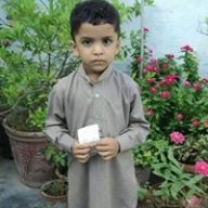 saad alam