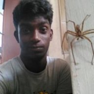 ~ShrAv