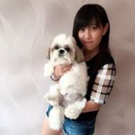 Shirley chan