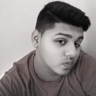 ehab shakerl