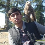 Hassaan Zahid