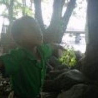 Tishena