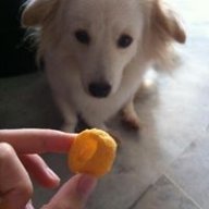 cherrymui
