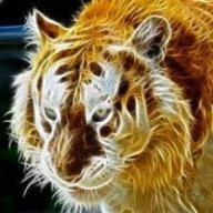 waseem123_